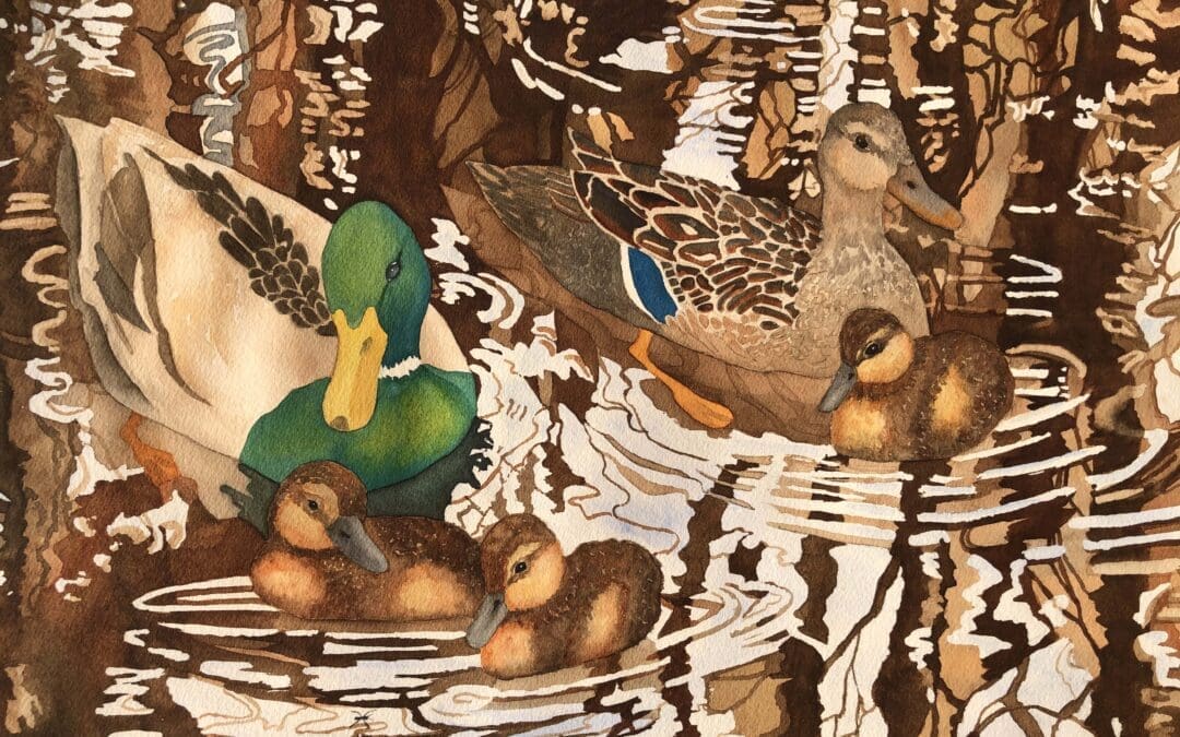 Hidden in Reflections