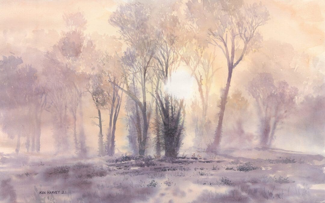 Cottonwood Dawn