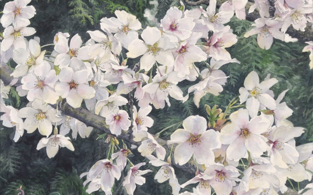 The Sweetness of Spring