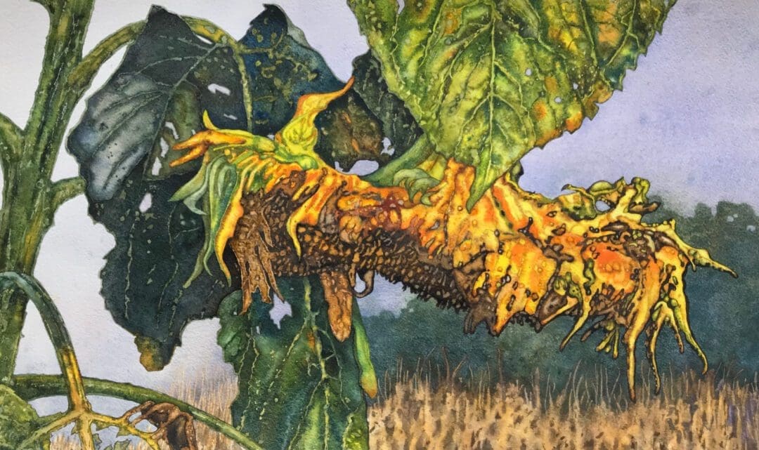 Extravagant Harvest