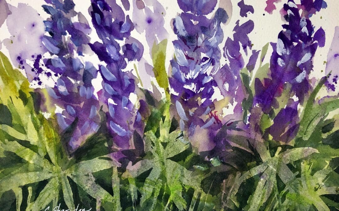 Lupine Ladies