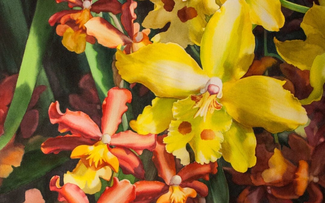 Celebs and Entourage Orchids