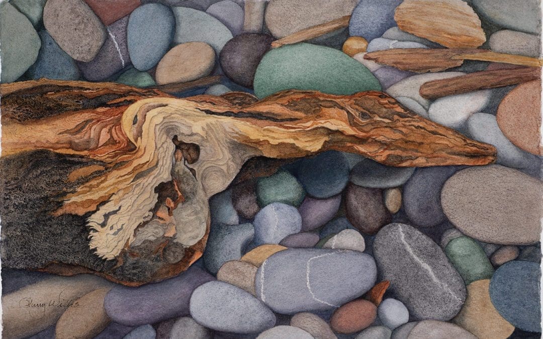 Shore Bird