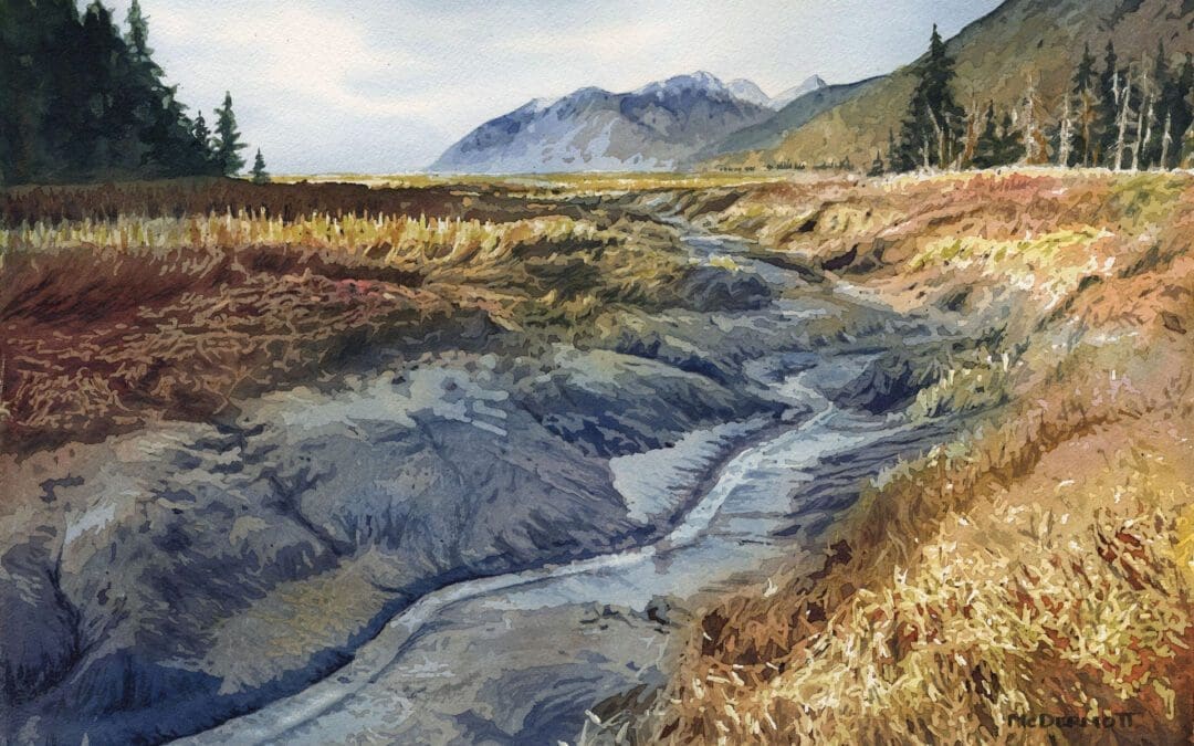 Bird Point Stream