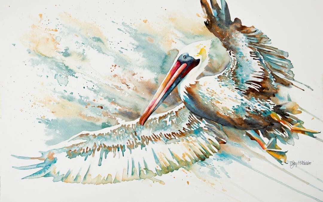 Winged Pelican