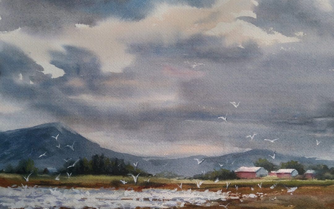 Snow Geese Season