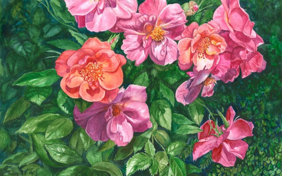 Array of Roses