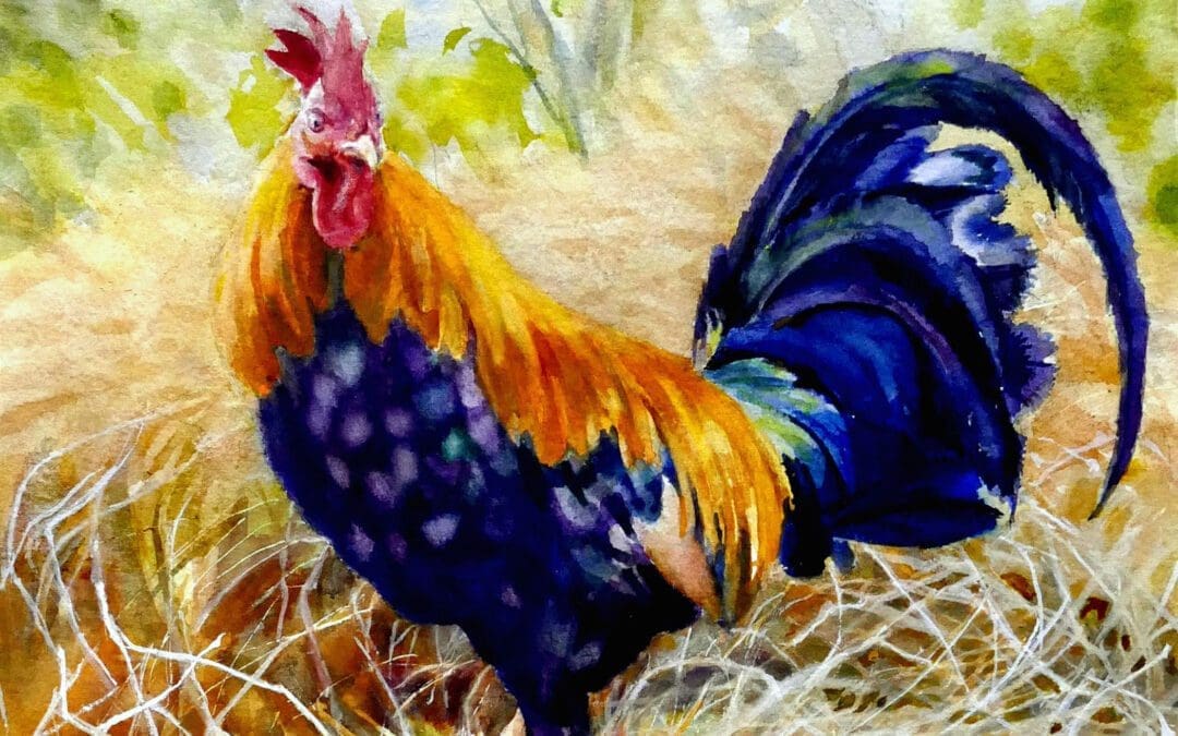 The Rooster Out Back