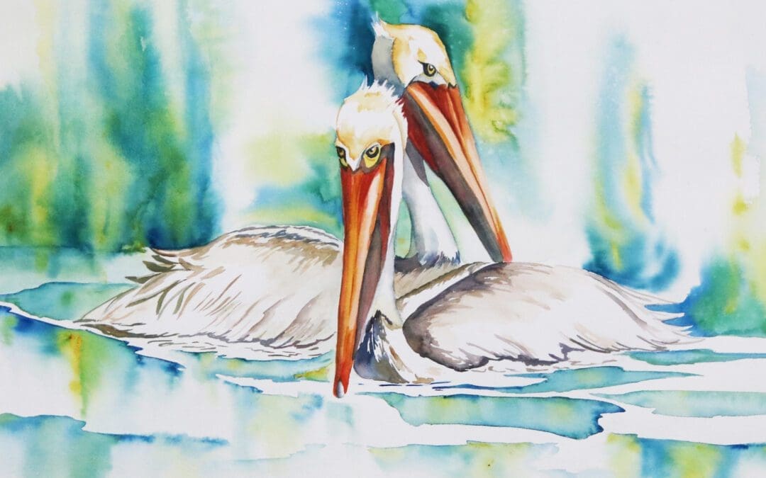 pelican pair
