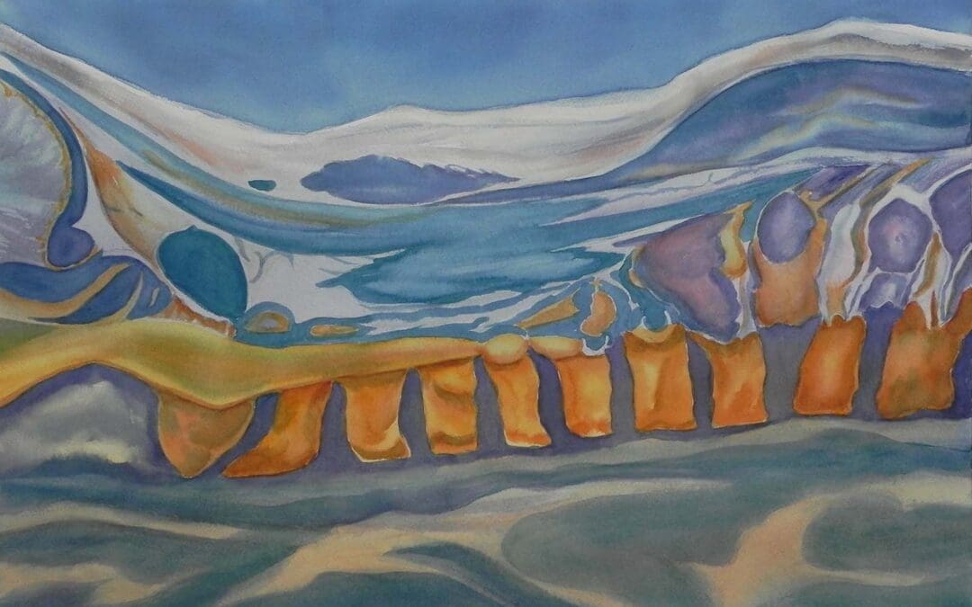 Spinal Landscape