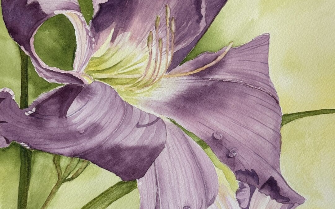 Purple Splendor