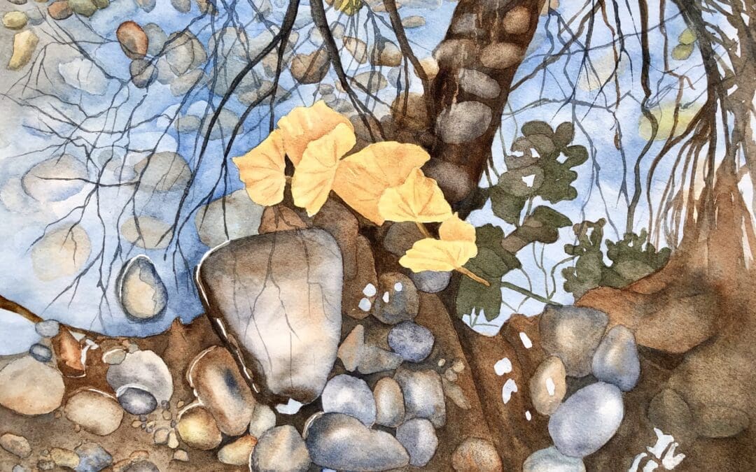 Soos Creek Rocks