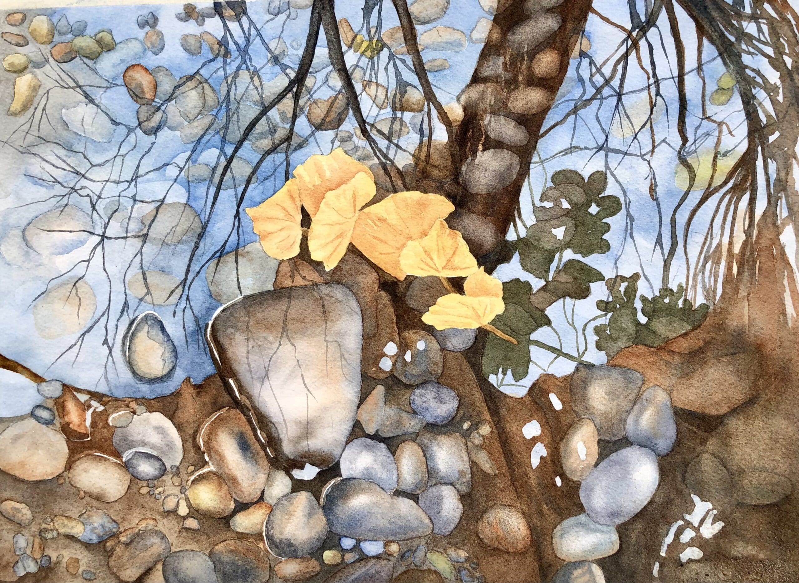 Burley-Soos-Creek-Rocks-11-x-14-watercolor