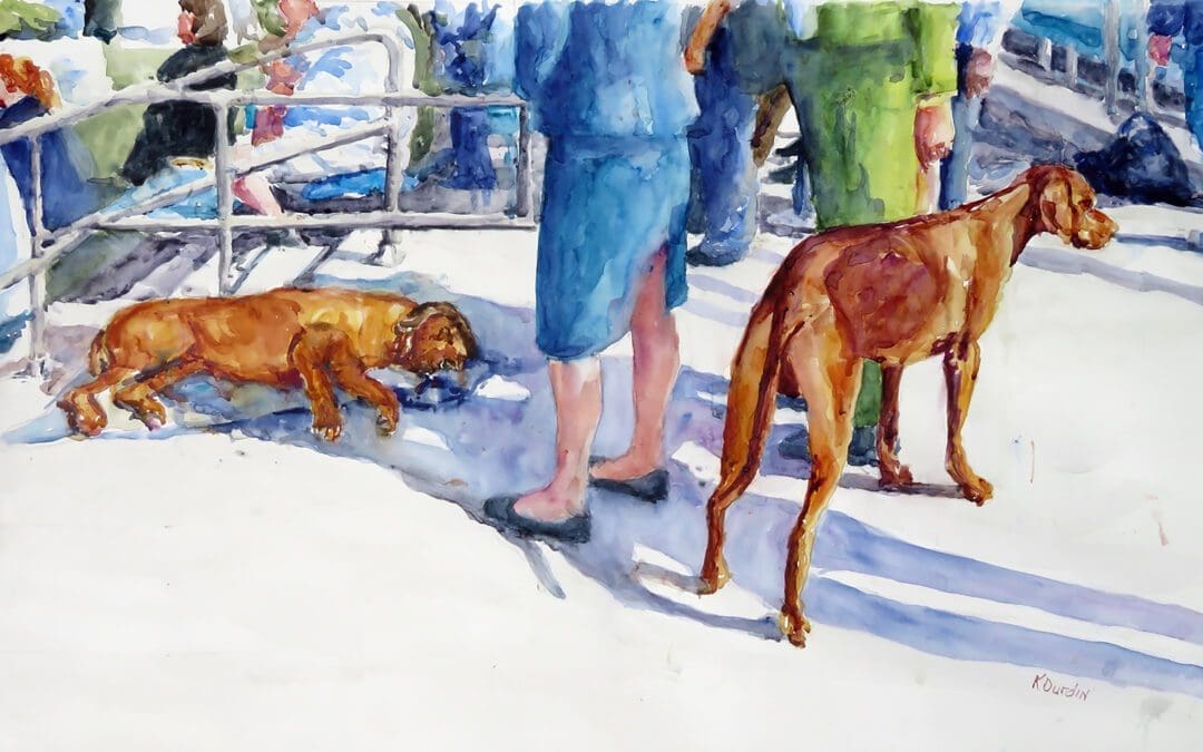 41 Ridgebacks IV