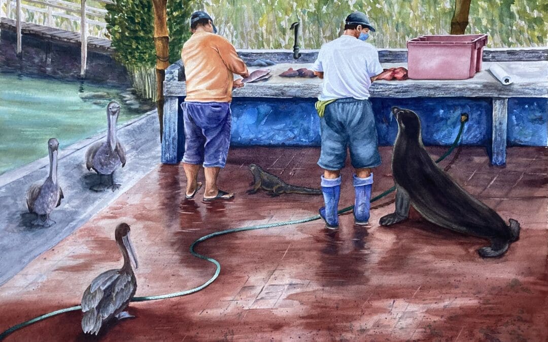 Galapagos Fish Market