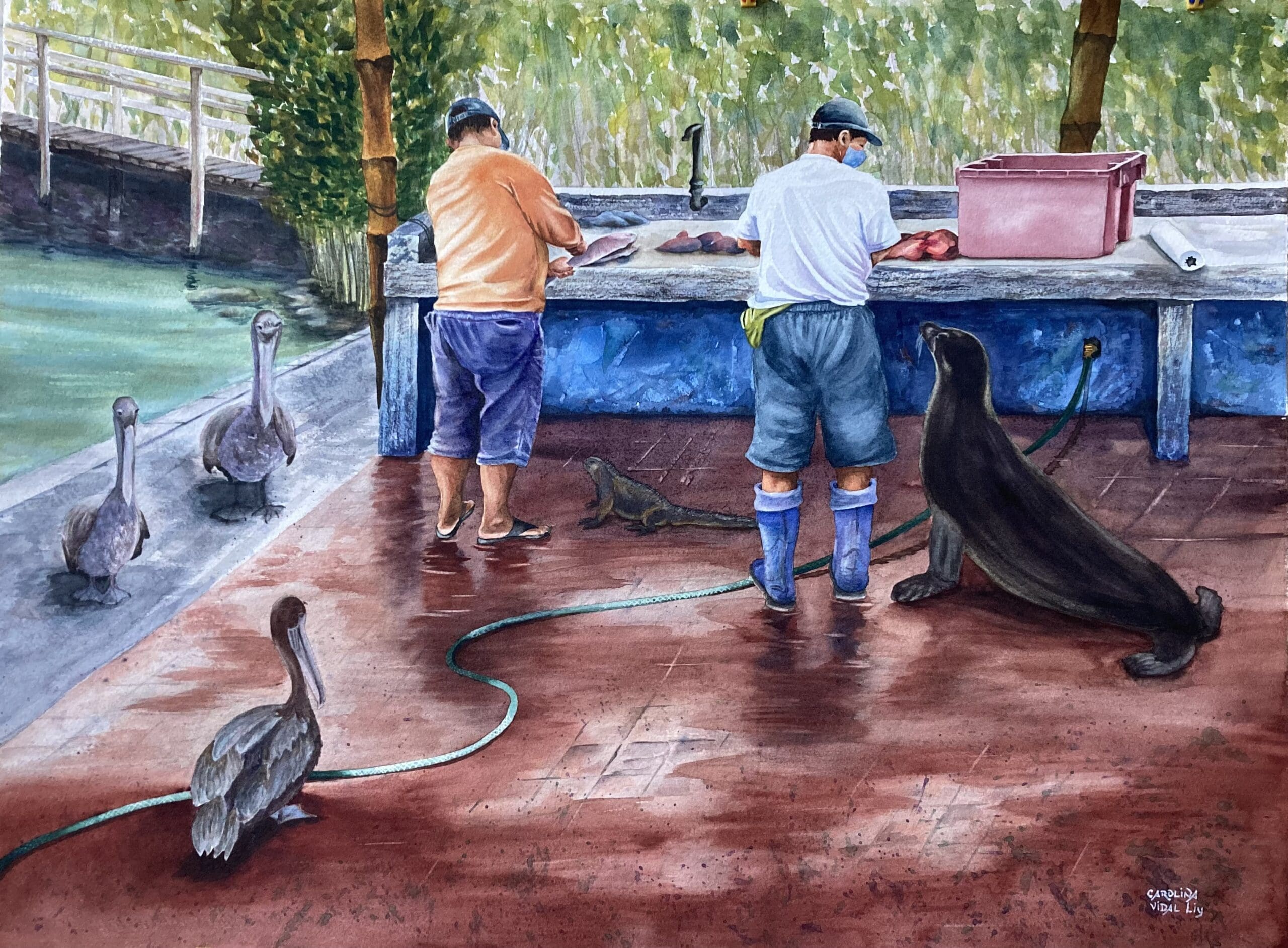 Galapagos-Fish-Market