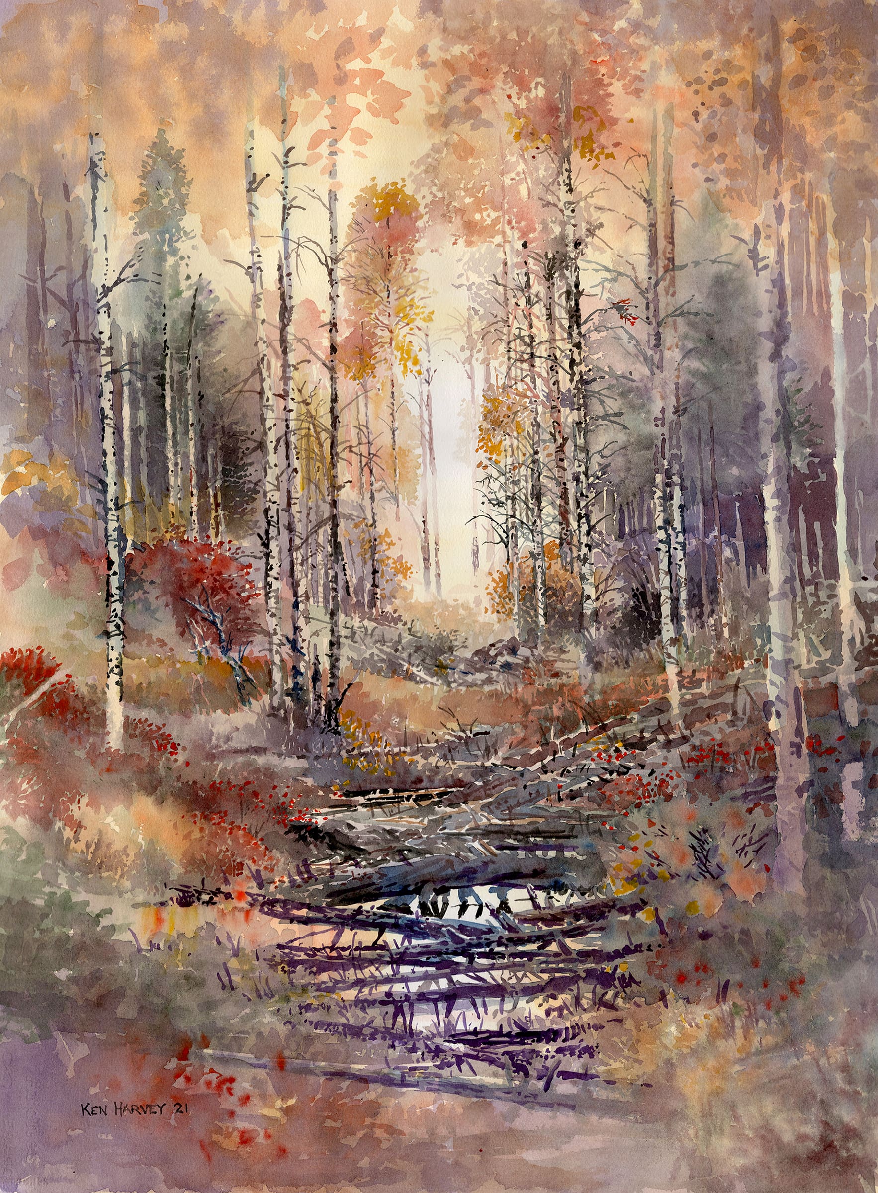 HARVEY_-Windfall-in-Aspens