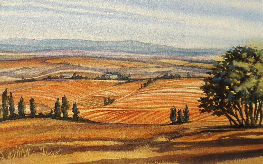 Looking Over the Palouse from Kamiak Butte