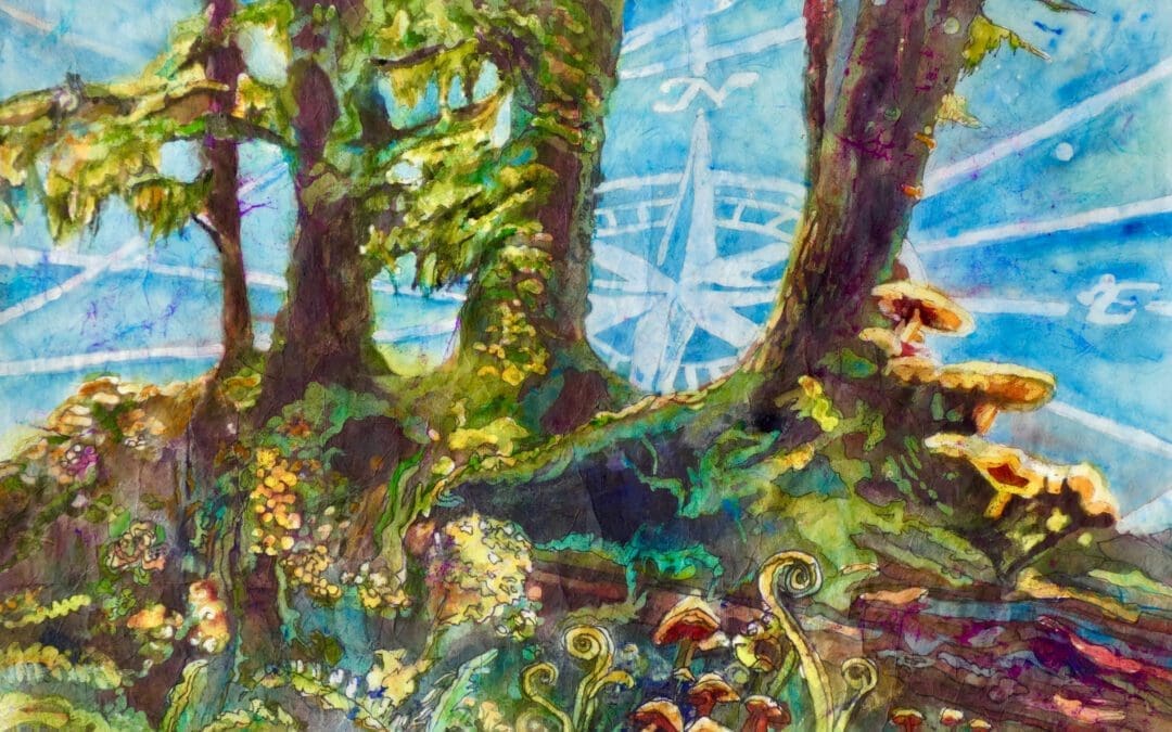 Nurse Tree-Olympic Rain Forest