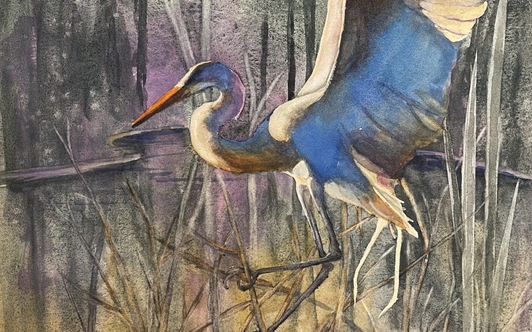 GREAT WHITE EGRET