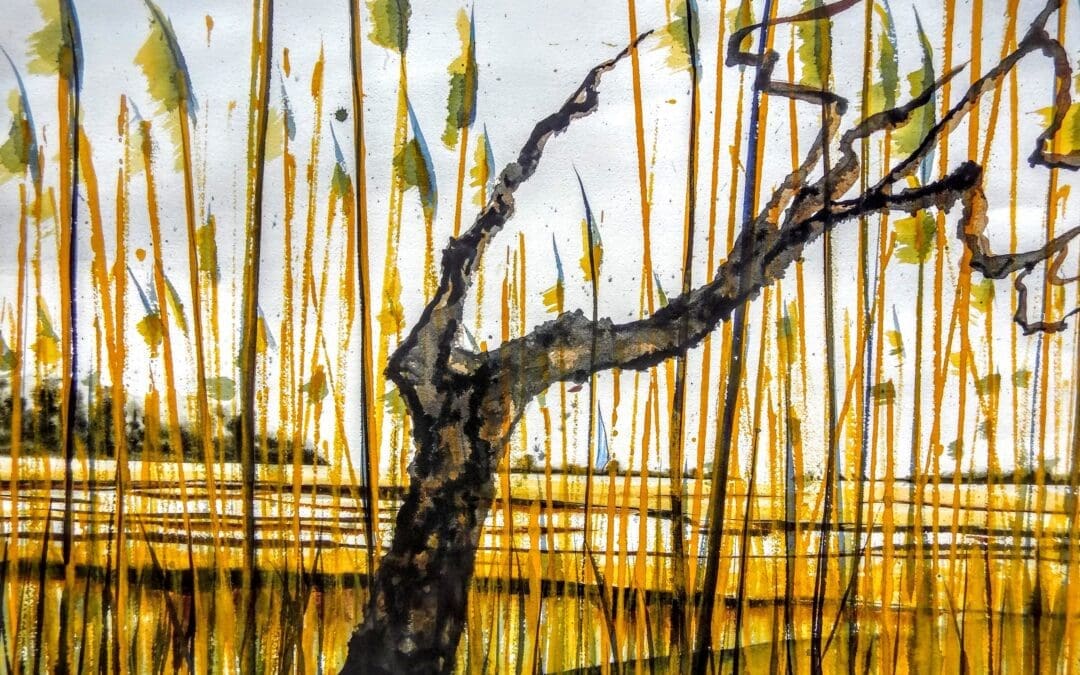 Through the Phragmites