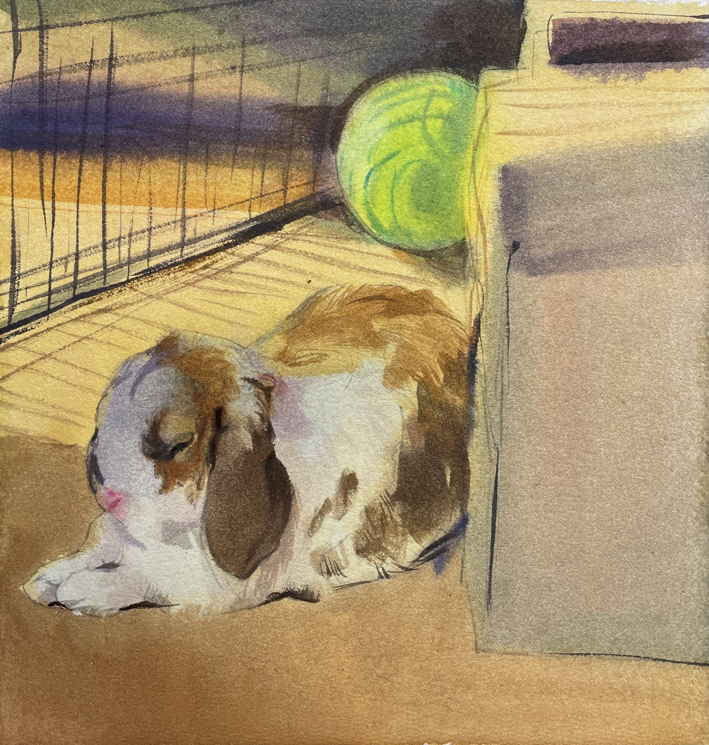 McGrory_theBunnyandhisBox