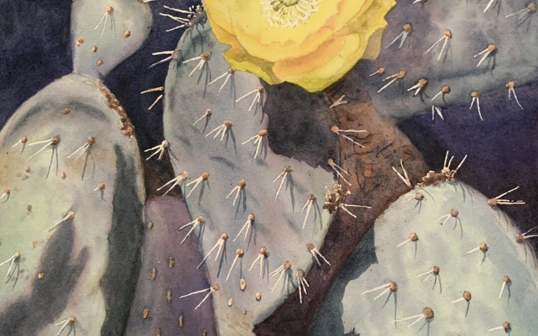 Moonlight on the Spines