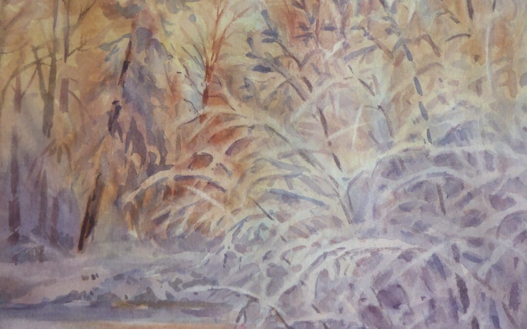 Frosty Forest