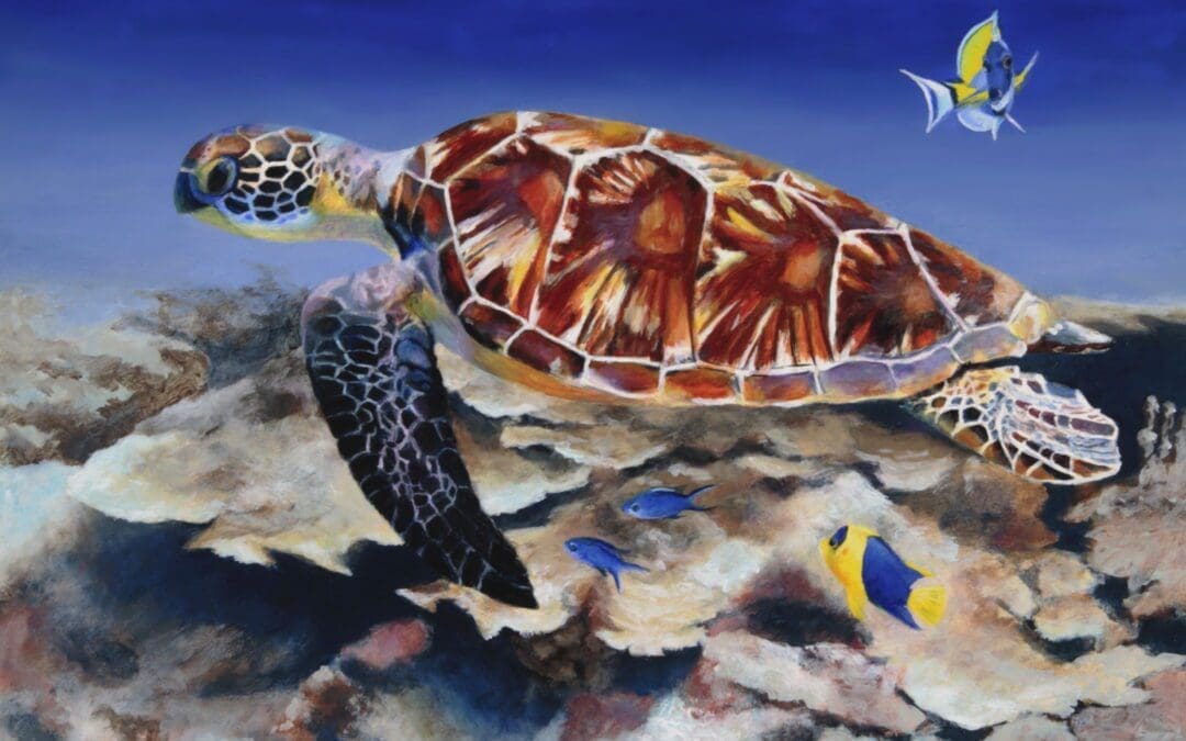 Sea Turtle