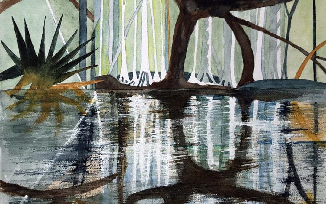 Mystery Swamp