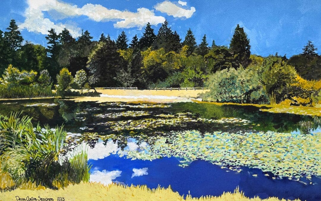 Storm Water Pond