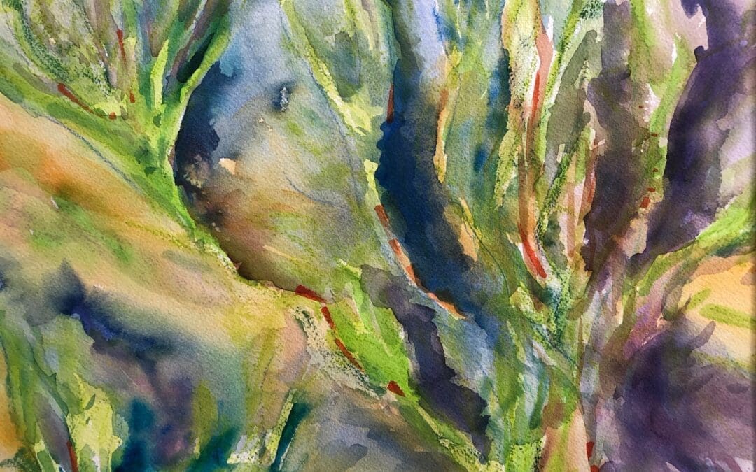 Water Ferns