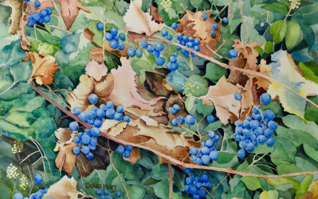 Grapes on the vine