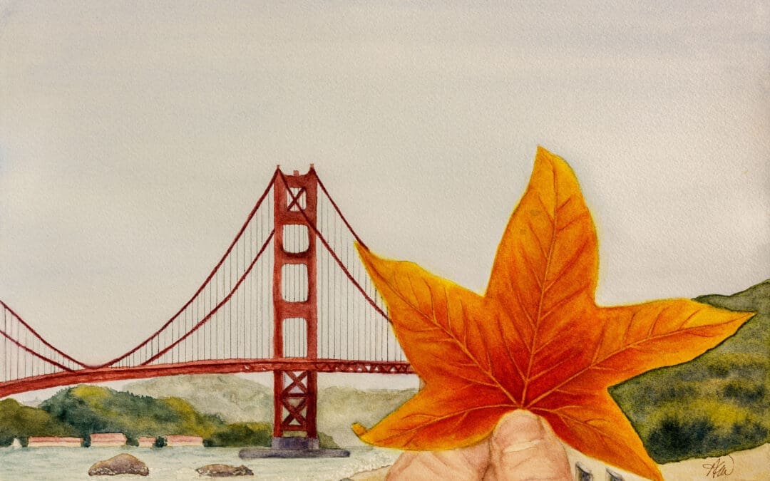 Adventure Leaf in San Francisco