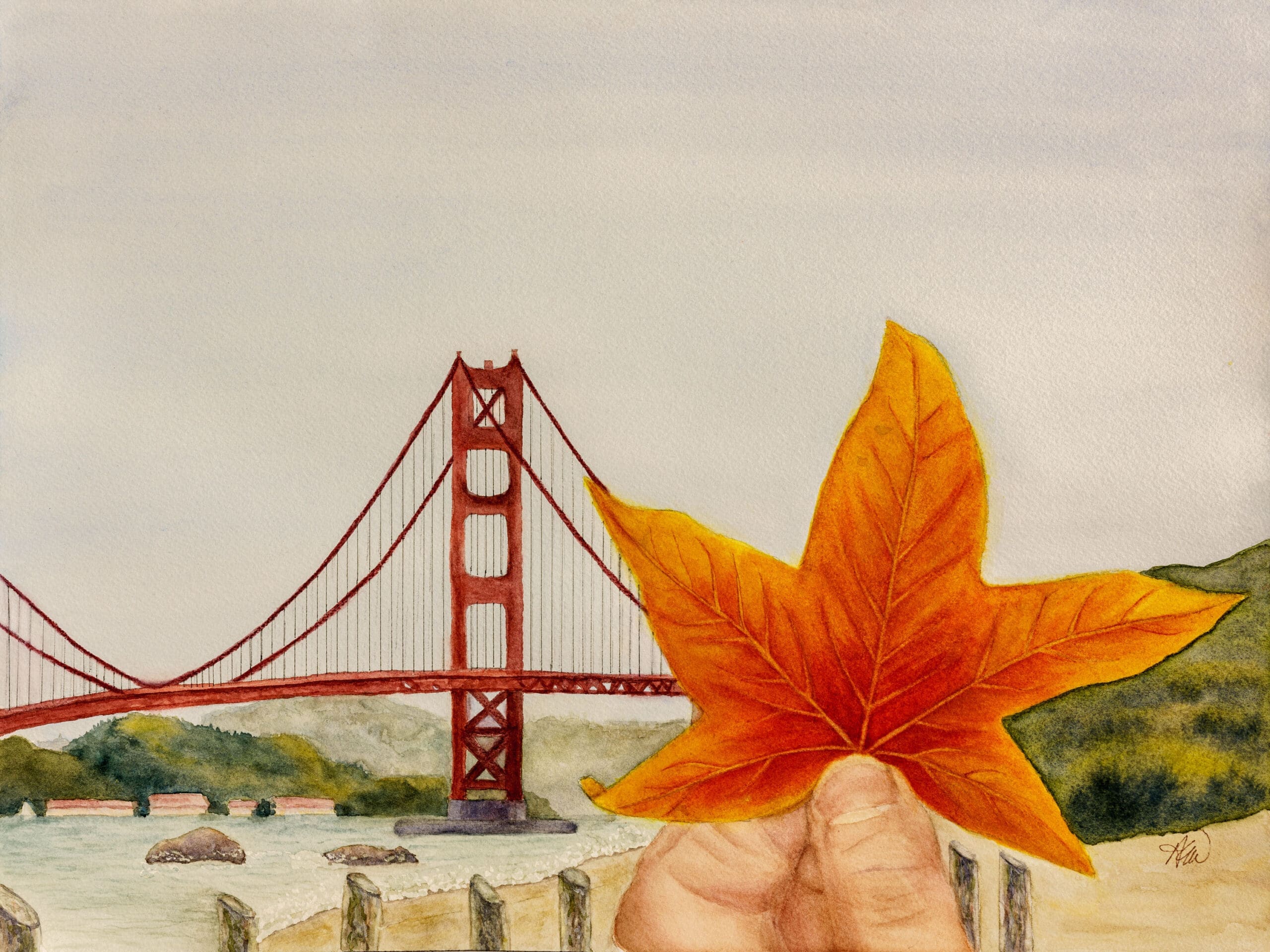 Adventure-Leaf-in-San-Francisco