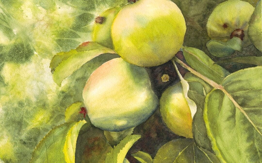 Little Green apples