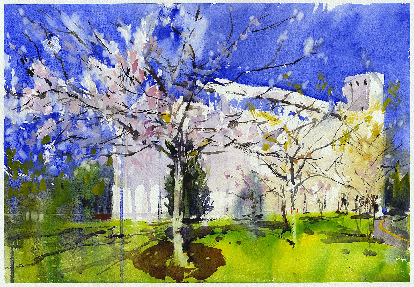 Cherry-blossoms-and-grain-elevator_smaller