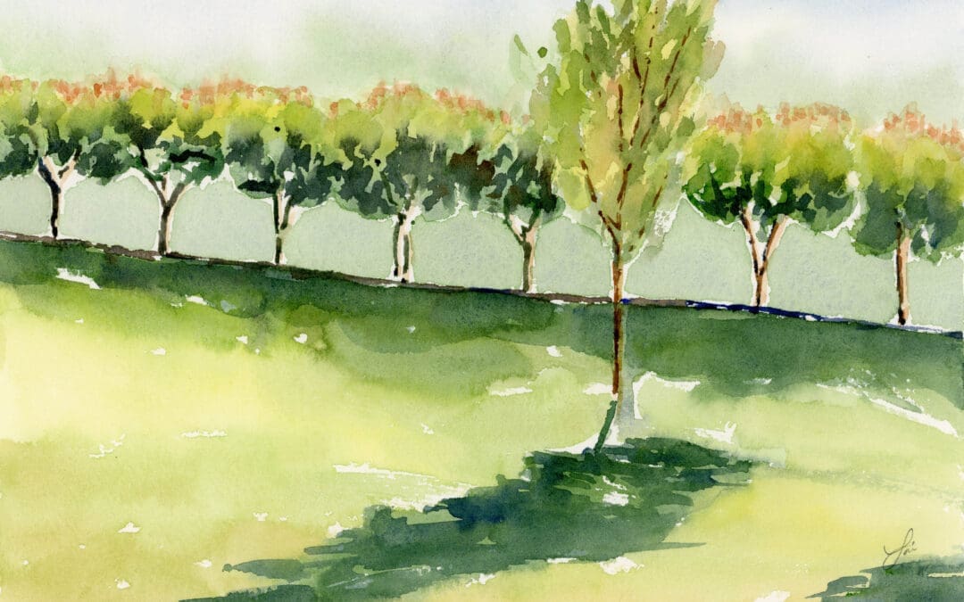 Crescent Creek Park