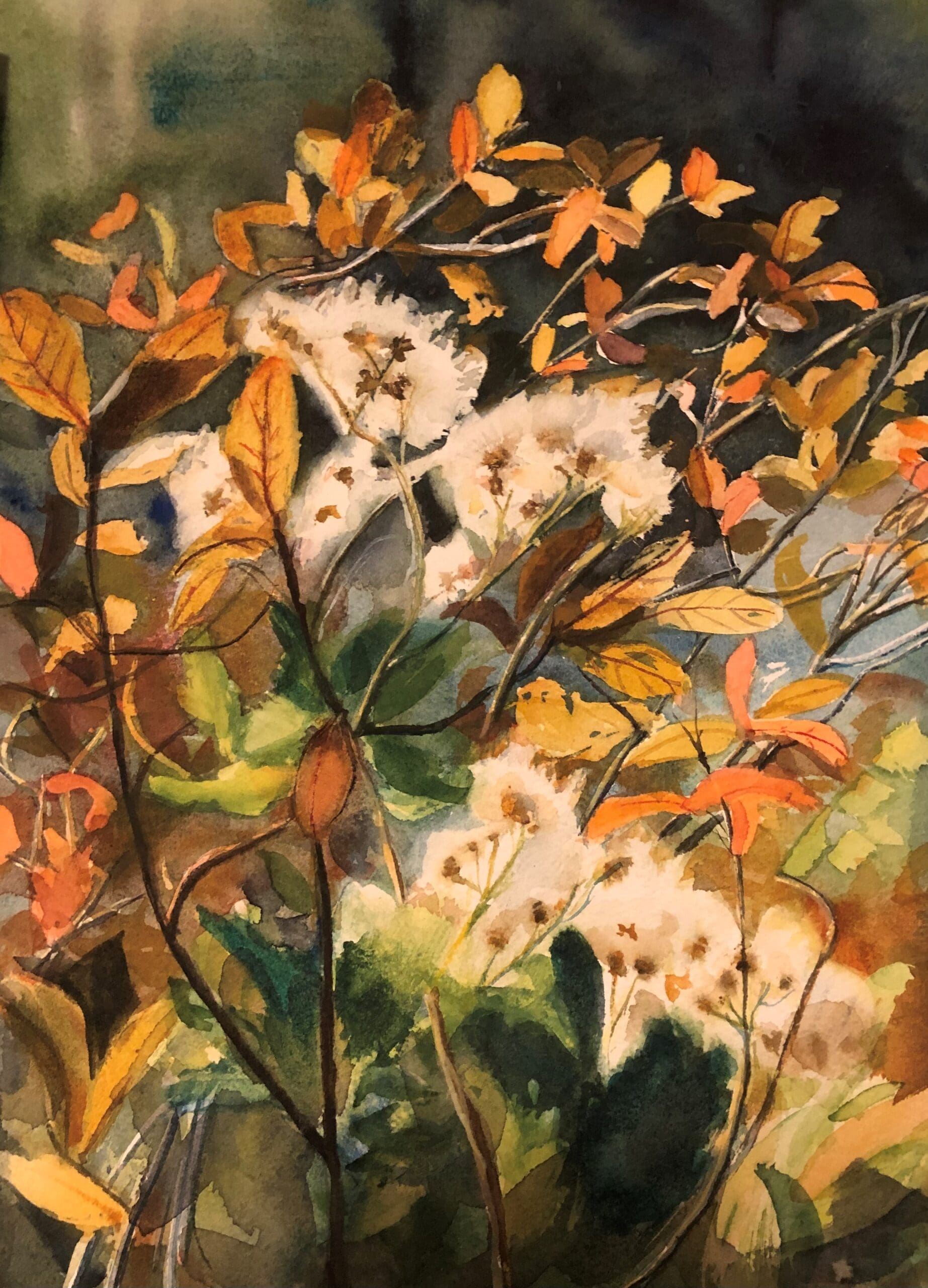 Fall-Choke-Cherry