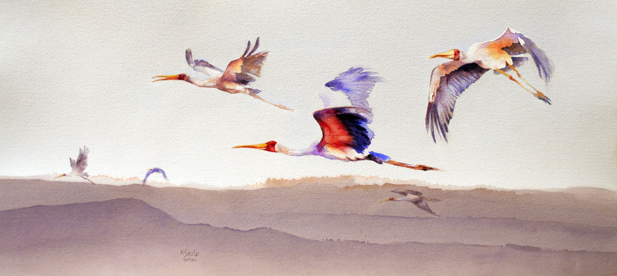 Flight-Over-Nakuru