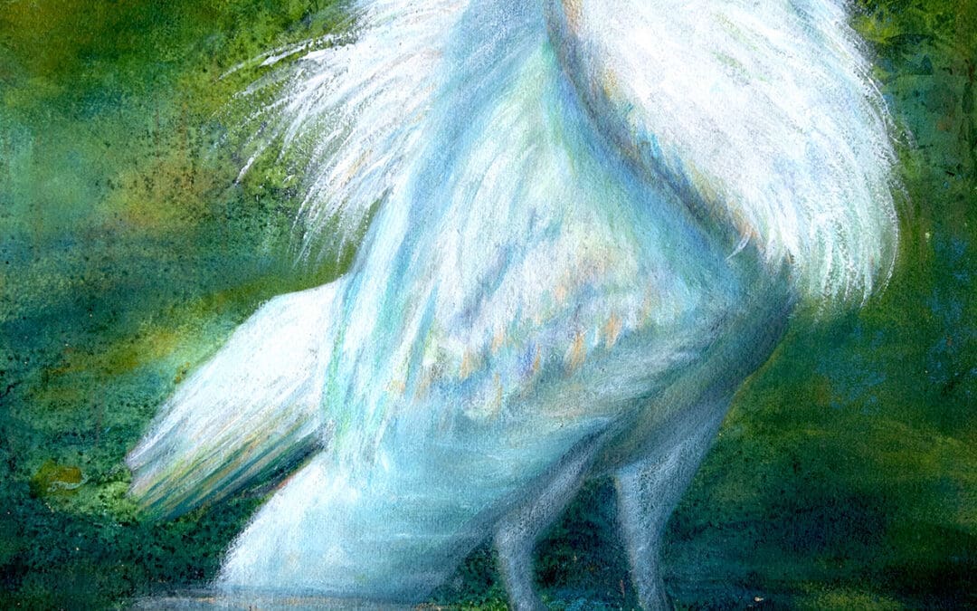 Wetland Queen
