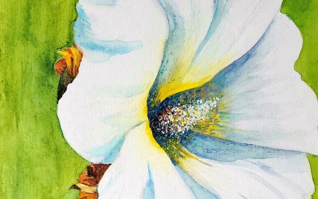Hollyhock