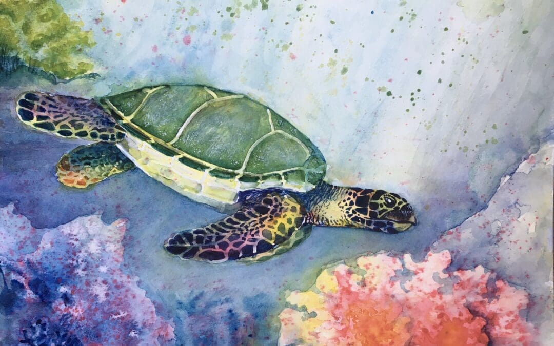 Hawaiian green turtle