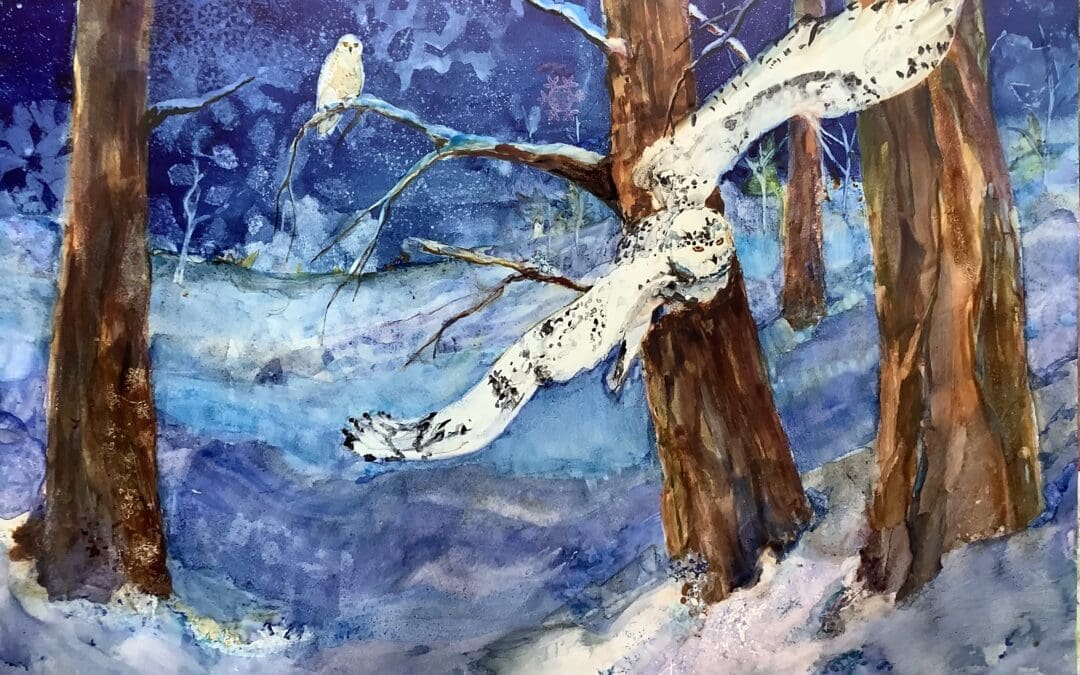 A Snowy Owl Irruption