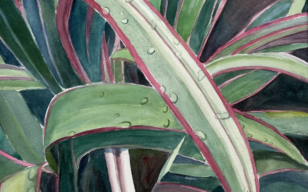 Rain-Kissed