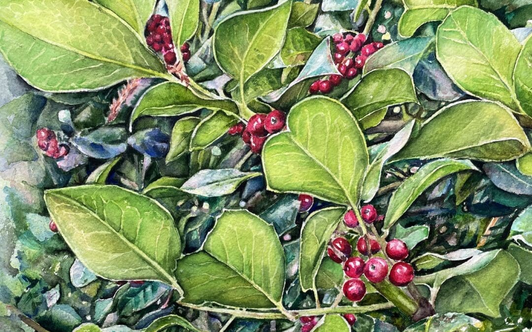 Holly Tree