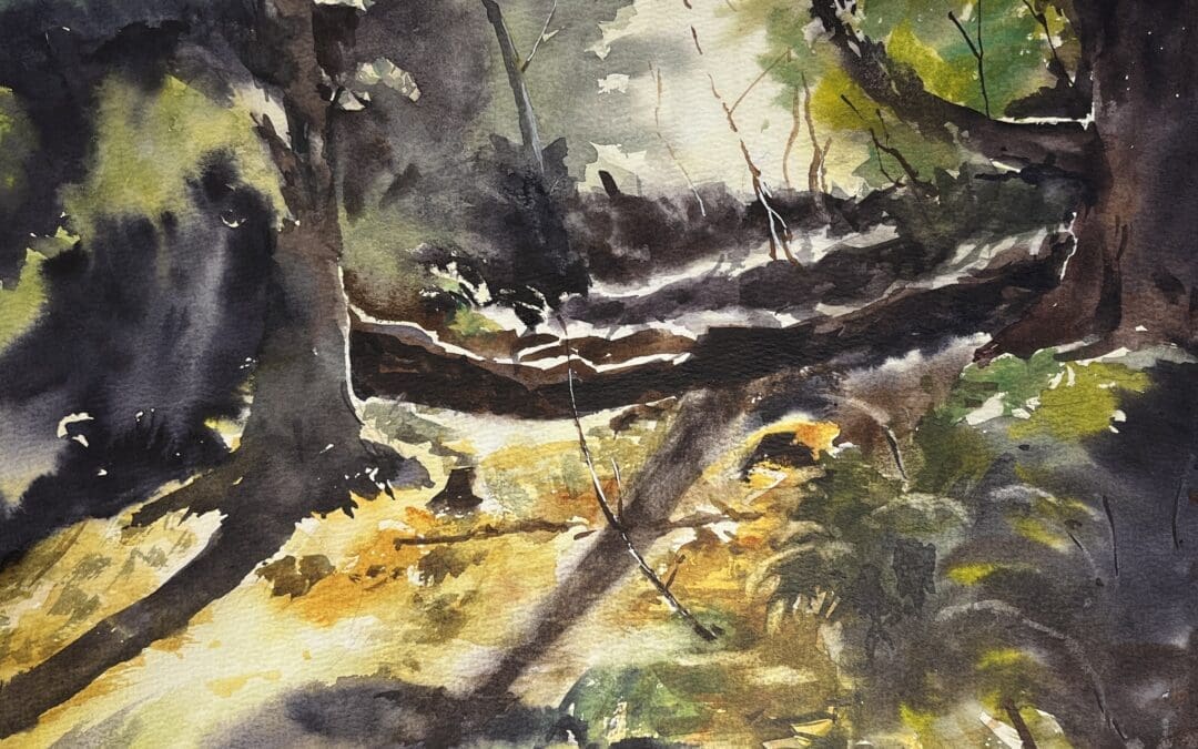 In the Woods