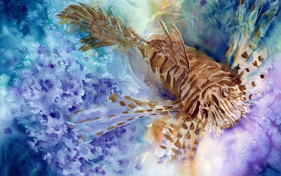 Lionfish in Seattle