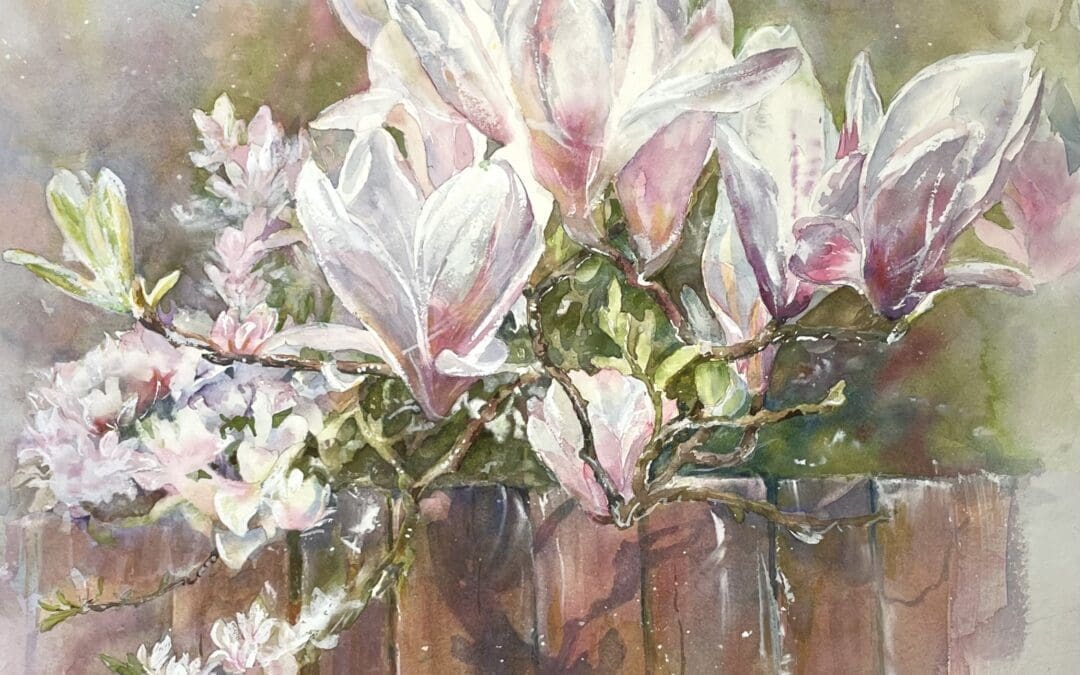 Magnolia by the Fence