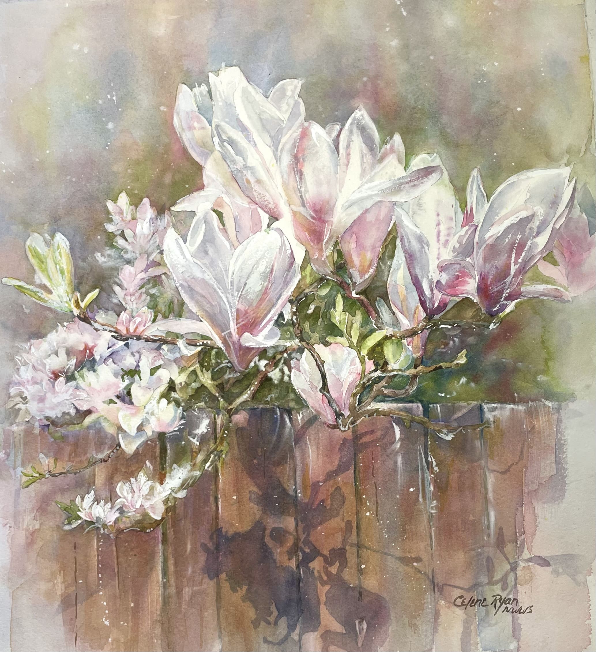 Magnolia-by-the-Fence